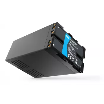 Batterie de remplacement Newell BP-U100 pour Sony