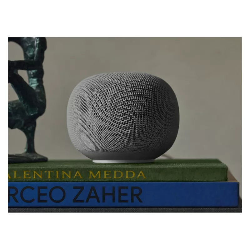 Enceinte Google Home Hazel EU