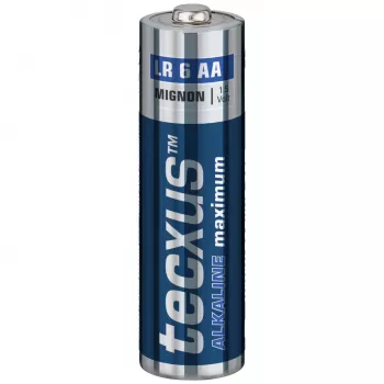 TECXUS Piles Mignon AA Standard Alcalines LR6 1,5V