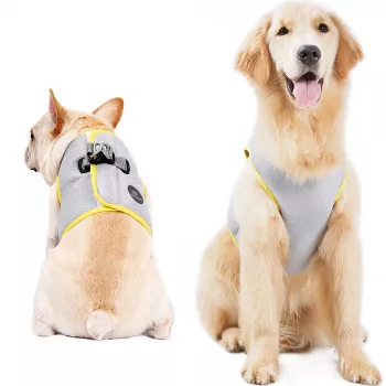 Harnais-gilet rafraîchissant pour chien MOZOS PV-COOL M