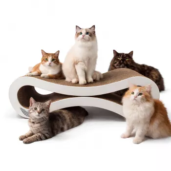 MOZOS KITTY-SPIKE Griffoir et couchage pour chats, carton, grand, 86 cm XXL