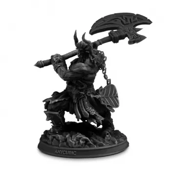 Résine Anycubic Standard V2, noire, 1 kg