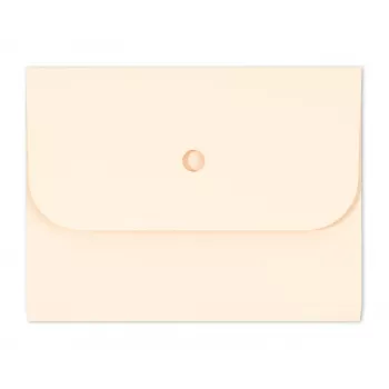 Classeur d'organisation ELCO Ordo Forte A4, 320 x 245 mm, 320 g/m², chamois clair, 25 pièces (29494.41)