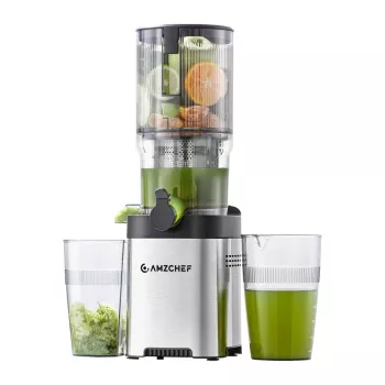 Extracteur de jus lent AMZCHEF CE-ZM1902B-SV
