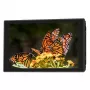 Moniteur embarqué IPS Portkeys HD7T 7 pouces 2200 cd/m² avec 3D LUT