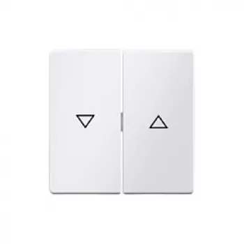 Berker 16256089 Touche avec symbole flèche, blanc polaire mat