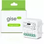 GISE Module relais intelligent simple sans potentiel WiFi Tuya GSS-WF-DR