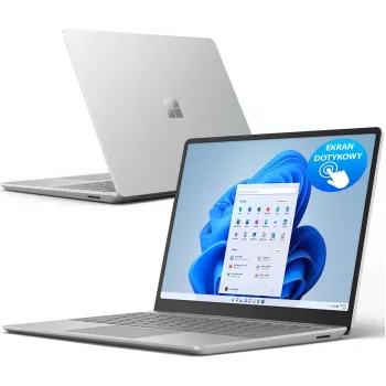 Microsoft Surface Go Intel Core i5-1035G4 8 Go RAM 256 Go SSD 12,3 pouces écran tactile Windows 10 Pro Platinum