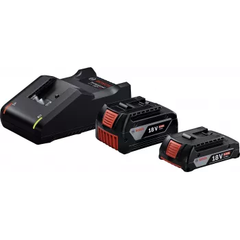 Starter Set 18V (GBA 18V 4.0/2.0Ah + GAL 18V-40 Professional) (Black, 2x Li-Ion Battery, AMPShare Alliance)