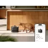 Petlibro Dockstream fontaine à eau avec application, noir