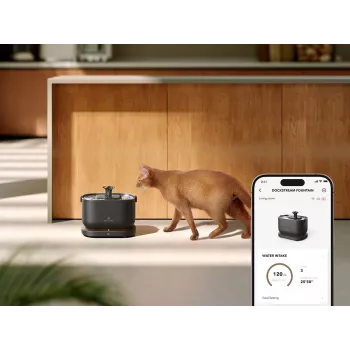 Petlibro Dockstream fontaine à eau avec application, noir