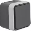 Hager WNC020 bouton poussoir en saillie, 1 pôle NO, IP55, gris