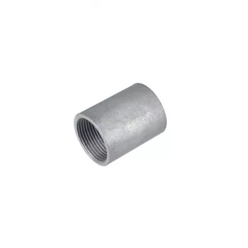 Raccord fileté pour conduit en acier FRAENKISCHE M25, galvanisé, pour systèmes FFS-ES/FFSK-ES-UV