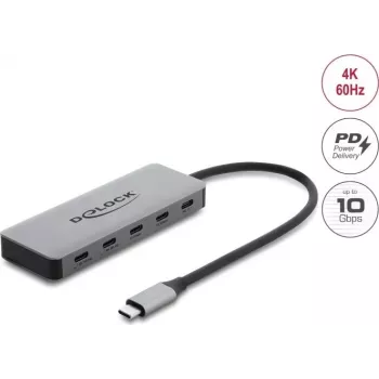 Delock Hub USB 2 ports 10 Gbps avec 2 ports USB-C 4K et PD 3.0 100 W