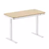 LogiLink Sit-Stand Desk, Single Motor, 118x60cm, with Wireless Charging, White