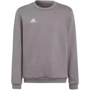 Sweat à capuche Entrada 22 adidas enfant, gris, H57477 (116 cm)