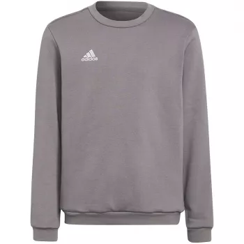 Sweat à capuche Entrada 22 adidas enfant, gris, H57477 (116 cm)