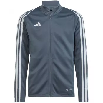 Sweat d'entraînement adidas Tiro 23 League pour enfant - gris (taille 140)