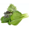 Click & Grow PPMAGX9 Smart Garden Plant Pods 9-Pack (Mixed Variety, Biodegradable, with Domes)