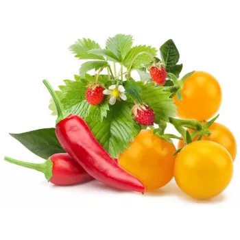 Click & Grow recharges de fruits et légumes pour Smart Garden, 9-pack (PPMFVX9)