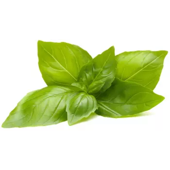 Click & Grow Lemon Basil Plant Pods for Smart Garden, 3-Pack (SGR76X3)