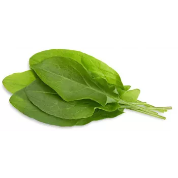 Click & Grow Green Sorrel Plant Pods for Smart Garden, 3-Pack (SGR55X3)