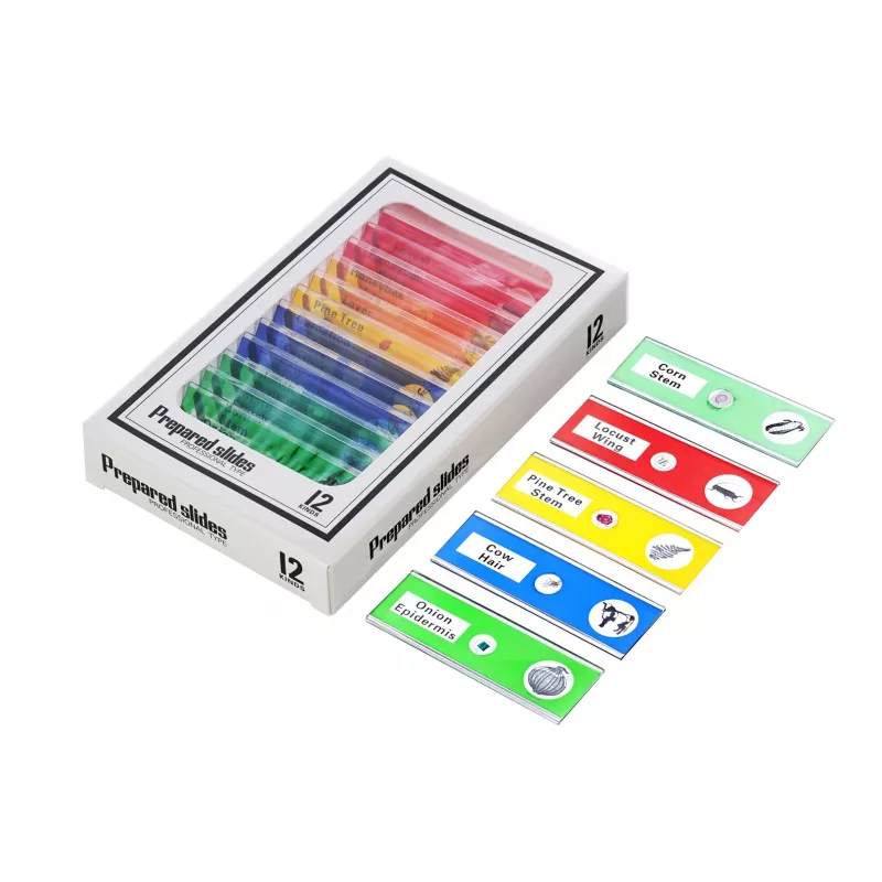 Microscope numérique LCD Levenhuk Rainbow DM500