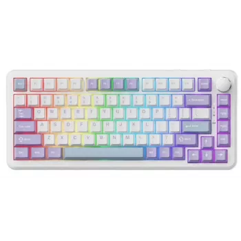 AJAZZ AK820 MAX clavier mécanique filaire, interrupteurs magnétiques, RGB, Purple White