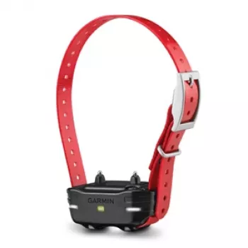 Émetteur Garmin Pro Series 27 MHz avec collier Blue Collar DD