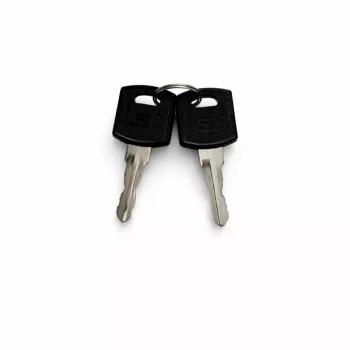 Clé de rechange DSIT DS-SIDELOCK-KEY pour panneaux latéraux d'armoires serveurs (lot de 2)