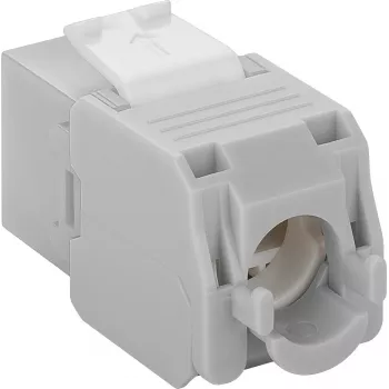 Prise réseau Keystone DS-IT CAT6a UTP - sans outil - grise (DS-KC-UTP6A-TL-2)