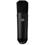 Microphone à condensateur à large membrane Warm Audio WA-87 R2 BL - nickel