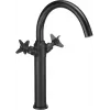 Mitigeur de lavabo haut DEANTE Arnika chrome, mitigeur mono-commande à montage en applique