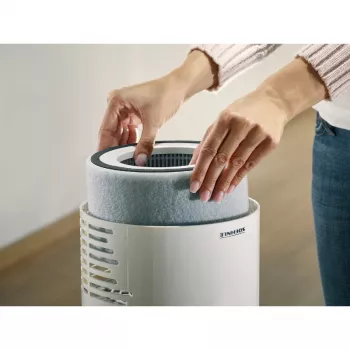 Filtre SOEHNLE AirFresh Clean 300