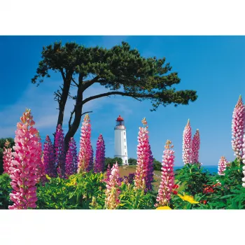 Puzzle 1000 pièces Schmidt Spiele Phare de Dornbusch, Hiddensee