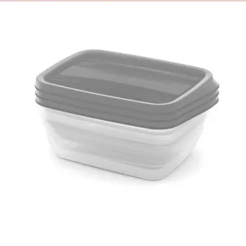Ensemble de boîtes alimentaires rectangulaires 3x1 L Vedo Transparent Gris CURVER