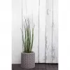 KETER cache-pot cylindrique petit gris clair