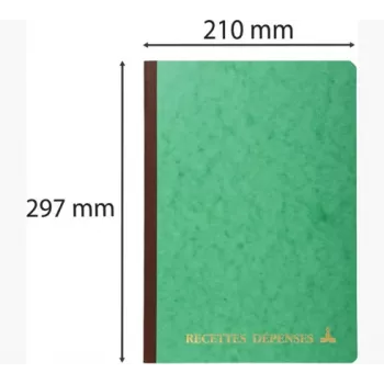 Carnet de recettes-dépenses Le Dauphin, 297 x 210 mm (3931D) - 1 pièce (3931D)