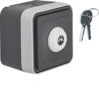 Hager WNC035 interrupteur à clé en saillie 2 pôles inverseur IP44 gris clair