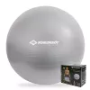 Ballon de gymnastique SCHILDKROT 65 cm argent anti-éclatement 960156