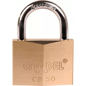 ABUS 238420 cadenas 60 mm en laiton massif avec anse en acier trempé, 2 clés