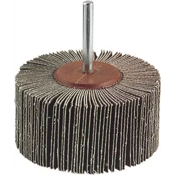 Disque à lamelles Wolfcraft 2037000, 20 mm de diamètre