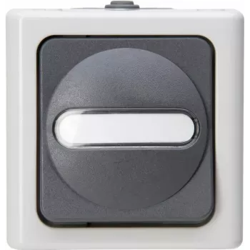 Interrupteur universel HEINRICH KOPP BLUE ELECTRIC gris en saillie pour pièces humides 10A, 250V (560656006)