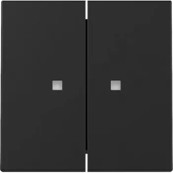 Plaque de recouvrement à bascule Gira System 55, 2 postes, pour fonction de commande, noir mat 3631005