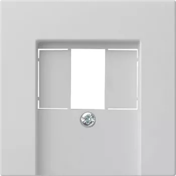 Plaque de recouvrement Gira System 55 pour TAE et USB, gris 0276015