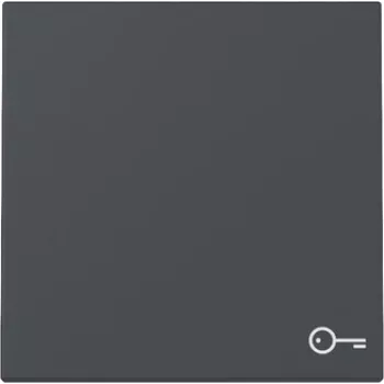 Bouton bascule Gira System 55 avec symbole porte, anthracite 328728