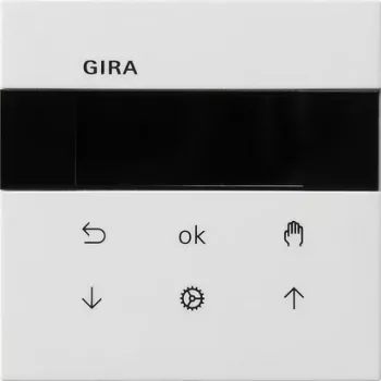 Module d'écran Gira System 3000 pour store et minuterie S3000 5366112