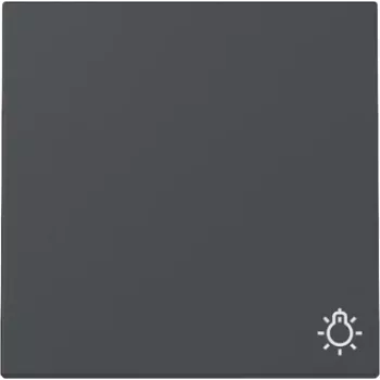 Bouton bascule Gira System 55 avec symbole lumière, anthracite mat 328528