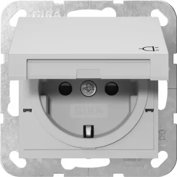 Prise SCHUKO Gira System 55 avec couvercle rabattable, gris 4414015