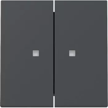 Plaque de commande double bouton Gira System 55 avec fenêtre de contrôle, anthracite mat 363128